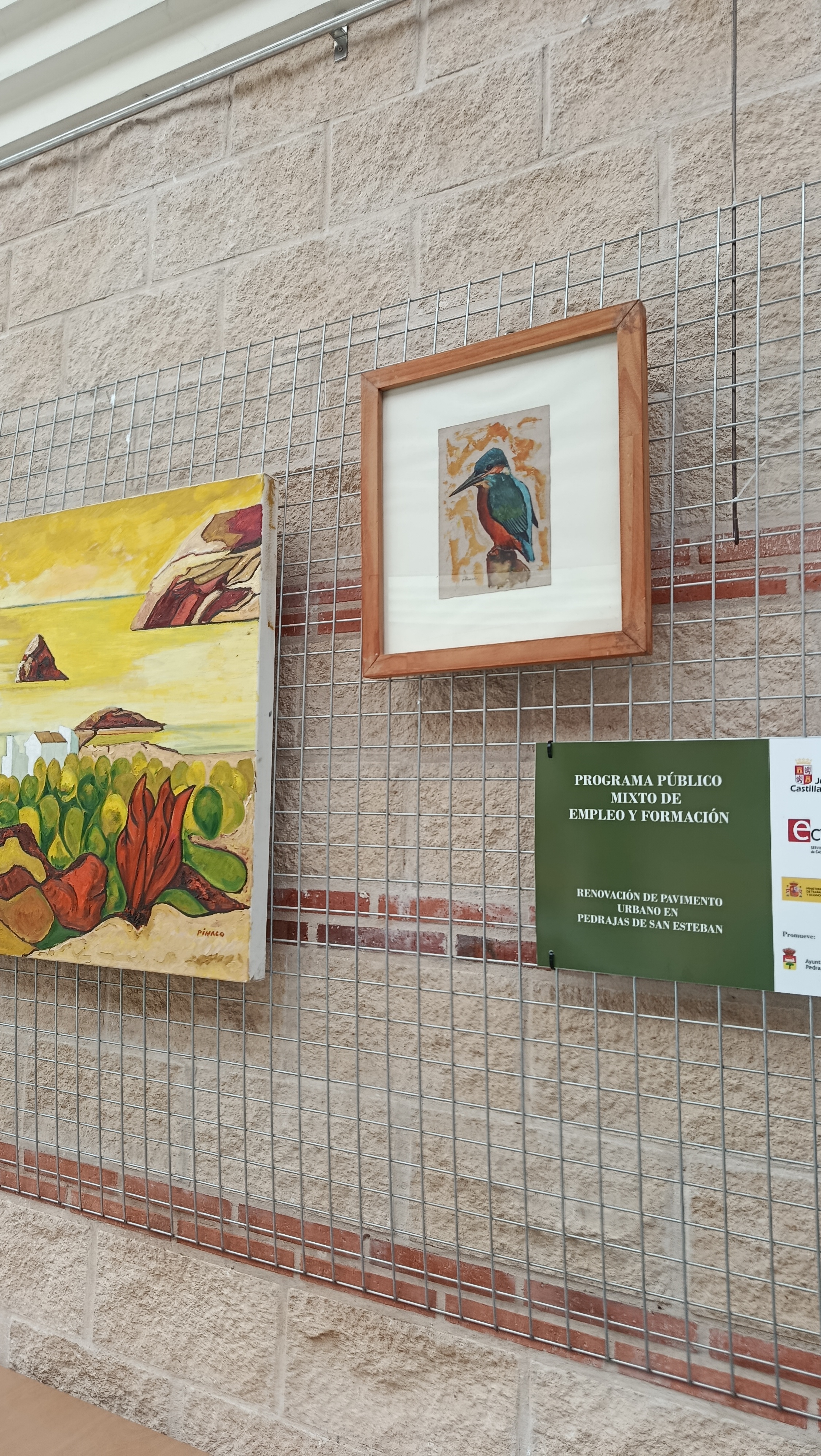 Pedrajas de San Esteban — imagen 4