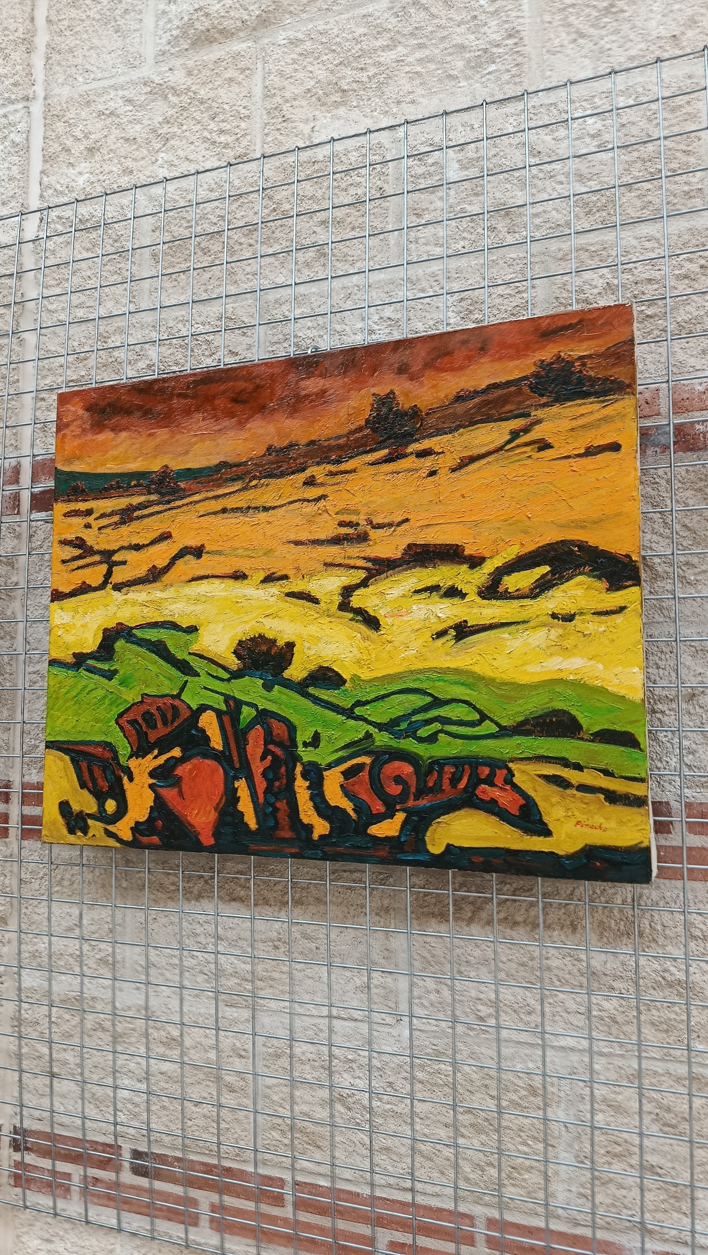 Pedrajas de San Esteban — imagen 10