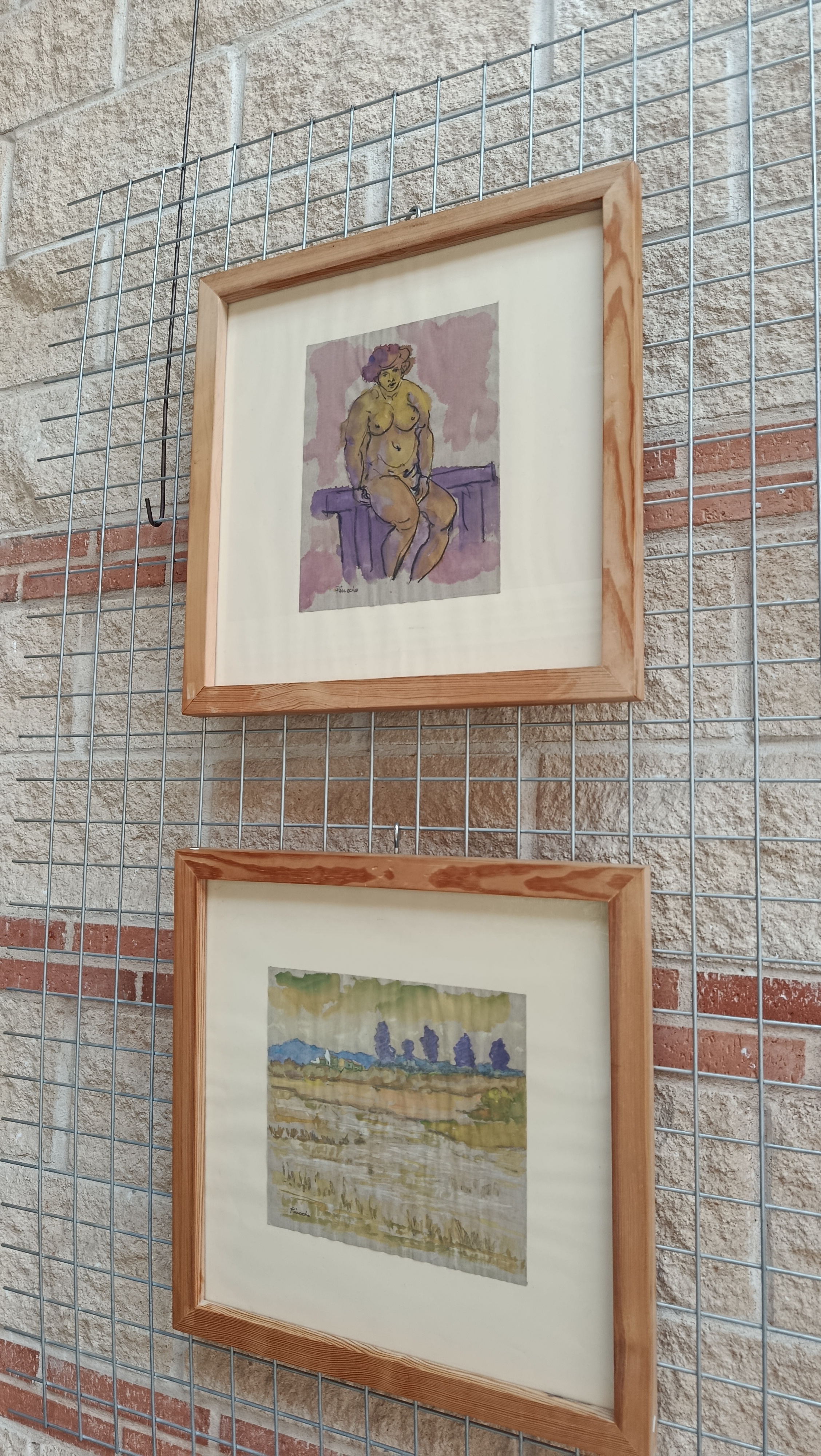 Pedrajas de San Esteban — imagen 14