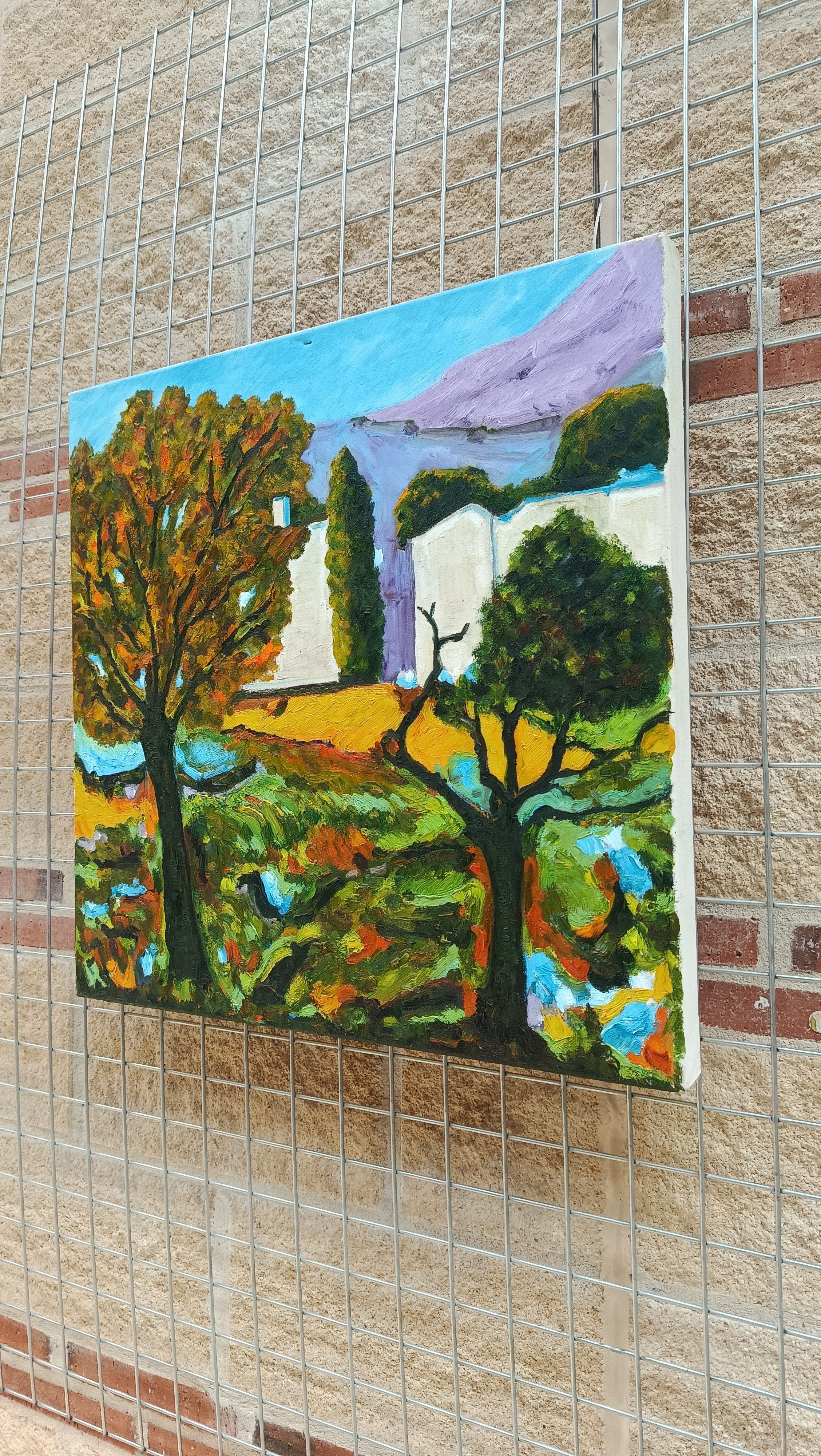 Pedrajas de San Esteban — imagen 15