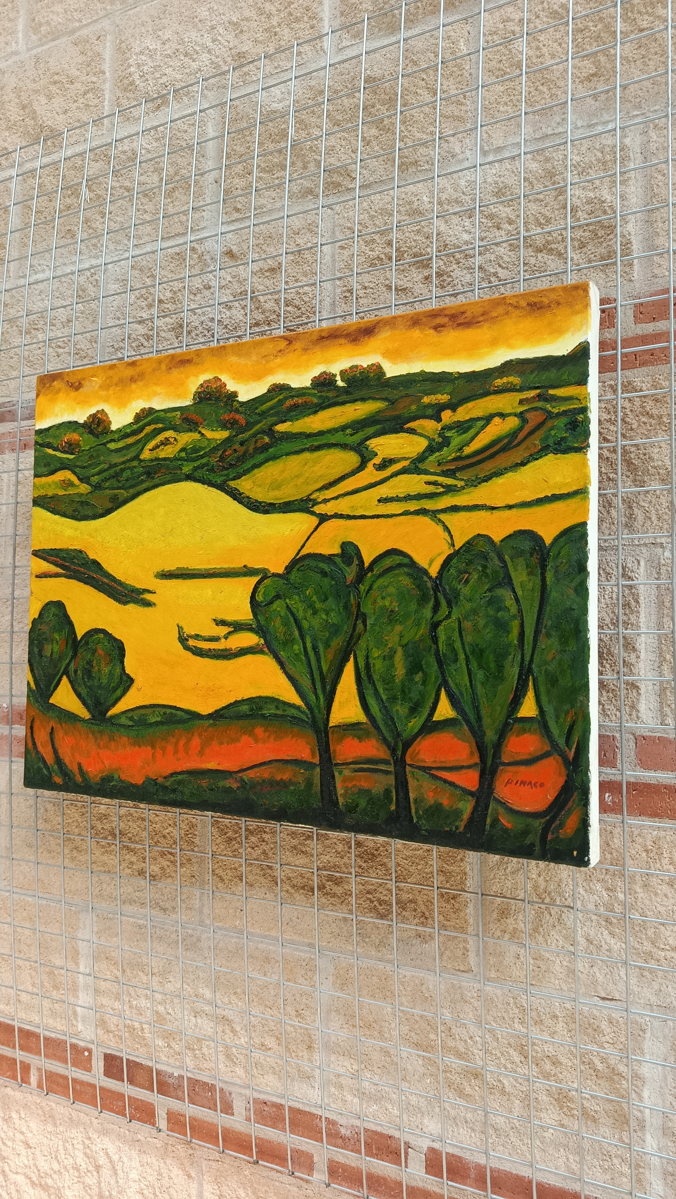 Pedrajas de San Esteban — imagen 18