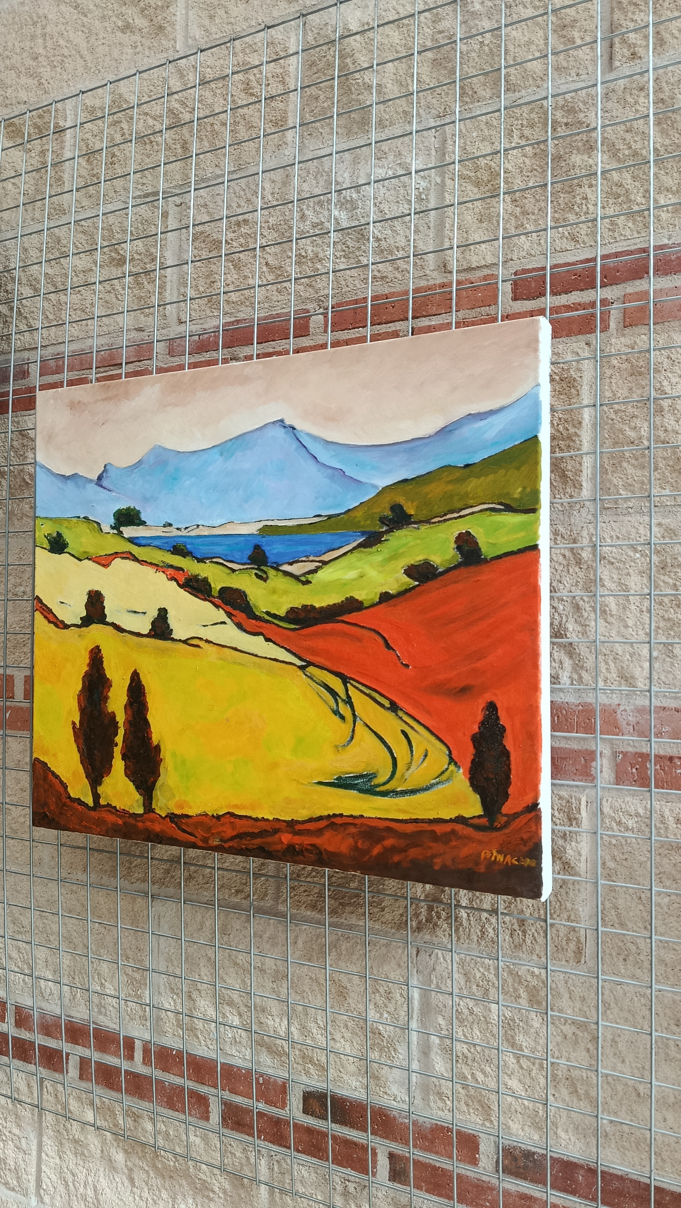 Pedrajas de San Esteban — imagen 21
