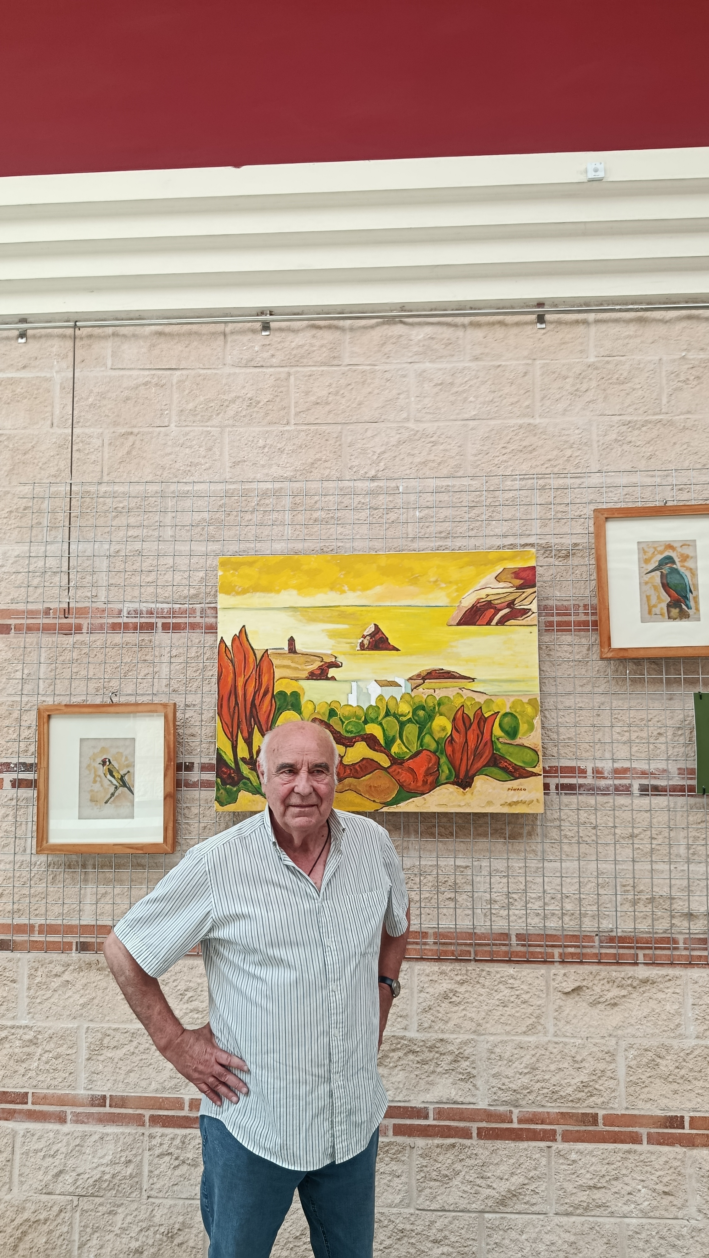 Pedrajas de San Esteban — imagen 23